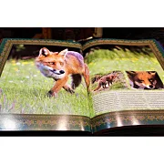 Охота — книга в коже — необычный подарок — фотография 4