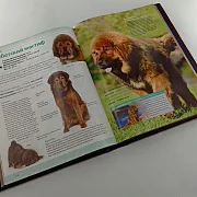 Книга "Собаки" — книга для мужчины — оригинальный подарок — фотография 5